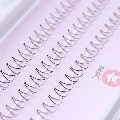3DType Individual False Eyelashes Natural